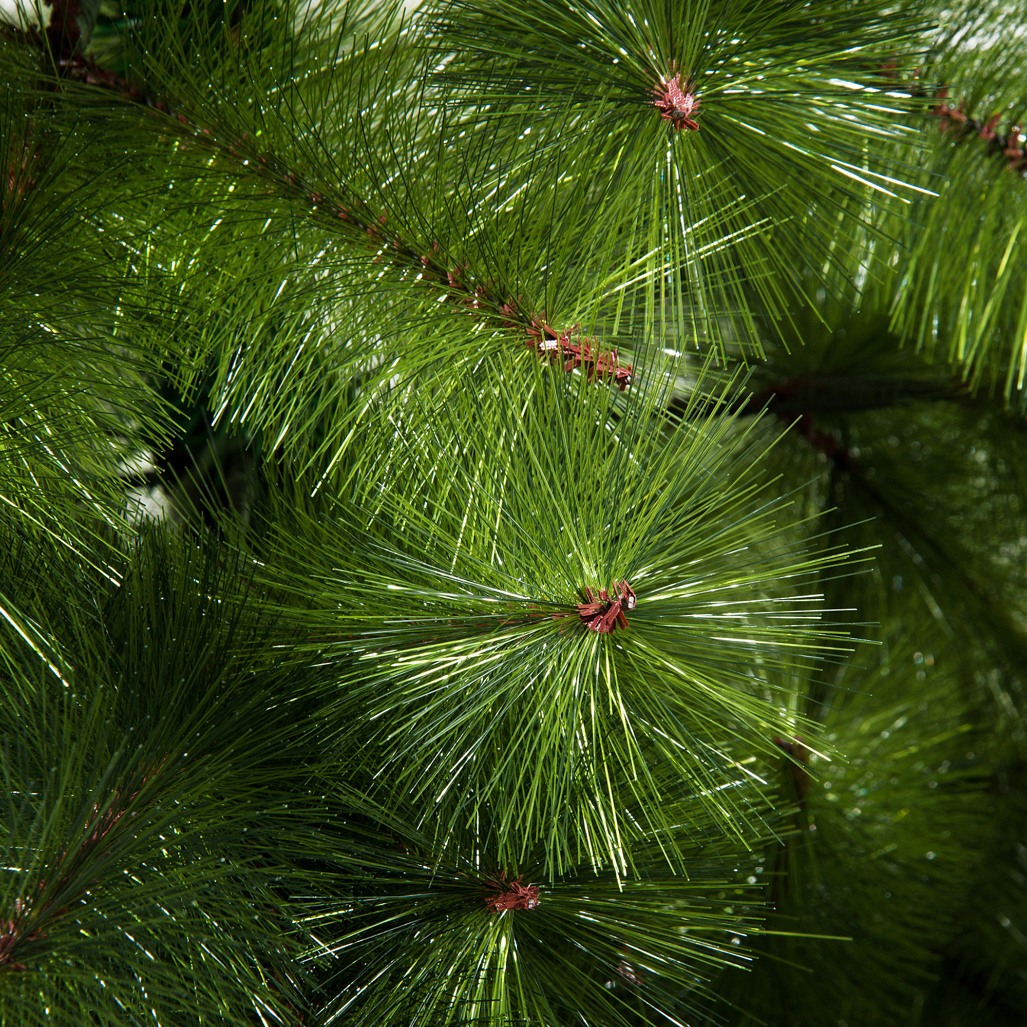 Künstlicher Weihnachtsbaum 210 cm Haken-Weihnachtsbaum mit 505 Spitzen mit silbernen Akzenten Christbaum Weihnachtsdeko inkl. Metallständer für drinnen