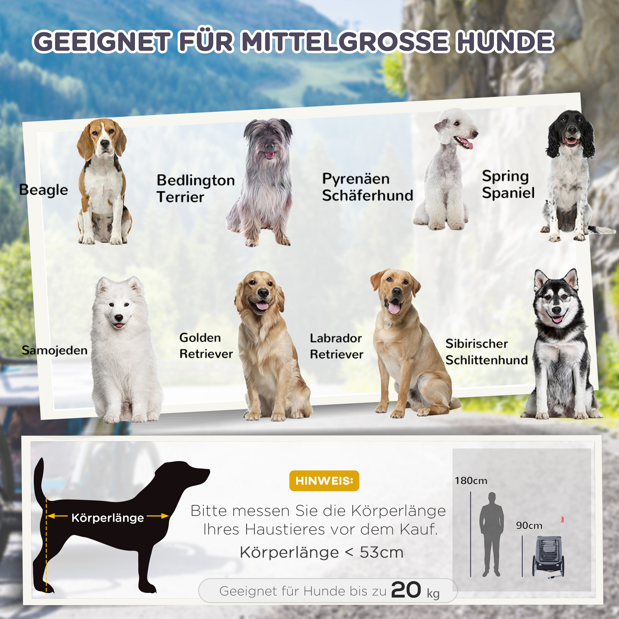 Hundeanhänger Fahrradanhänger bis 20kg - aus Rücksendung - 1 Stk. verfügbar