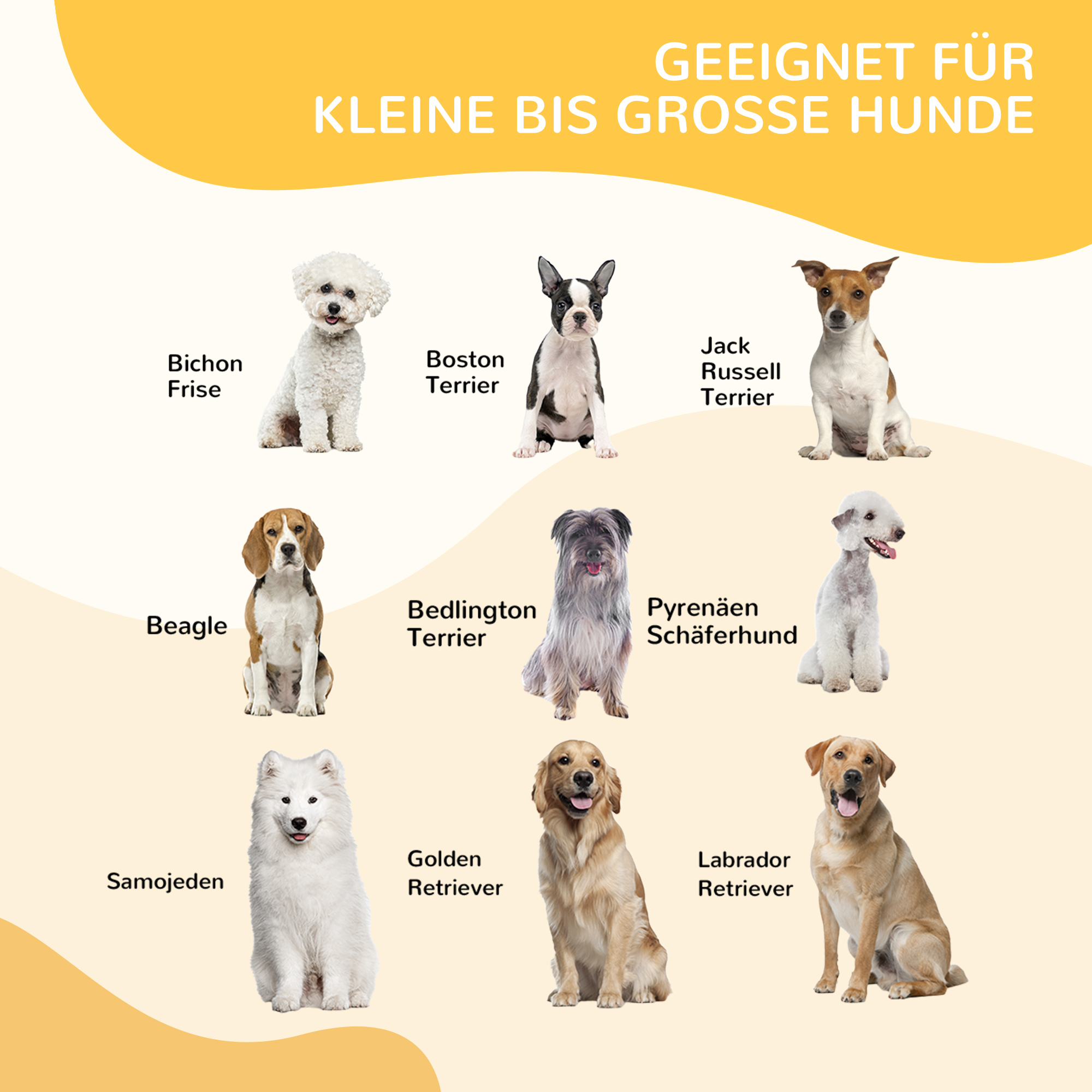 Welpenlaufstall, 8-teilig 100cm hoch Welpenauslauf mit abschließbarer Tür 8 Gitterplatten Stahl Hundelaufstall Freilaufgehege für große Hunde, für drinnen und draußen, Grau