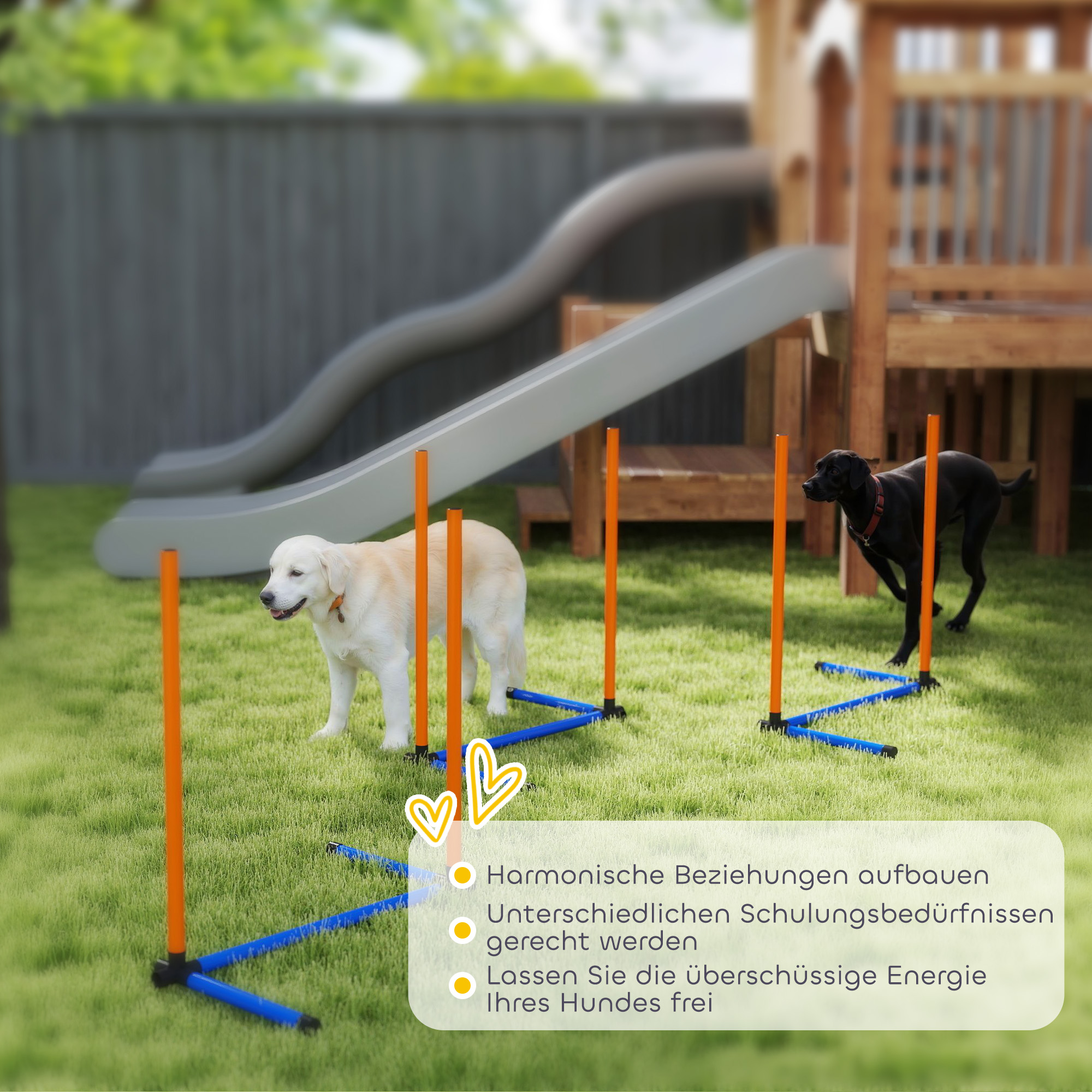 Agility Set Hunde 3-teiliges Agility Ausrüstung mit Slalomstangen Tragetasche Trainingsset für alle Hundegrößen Orange