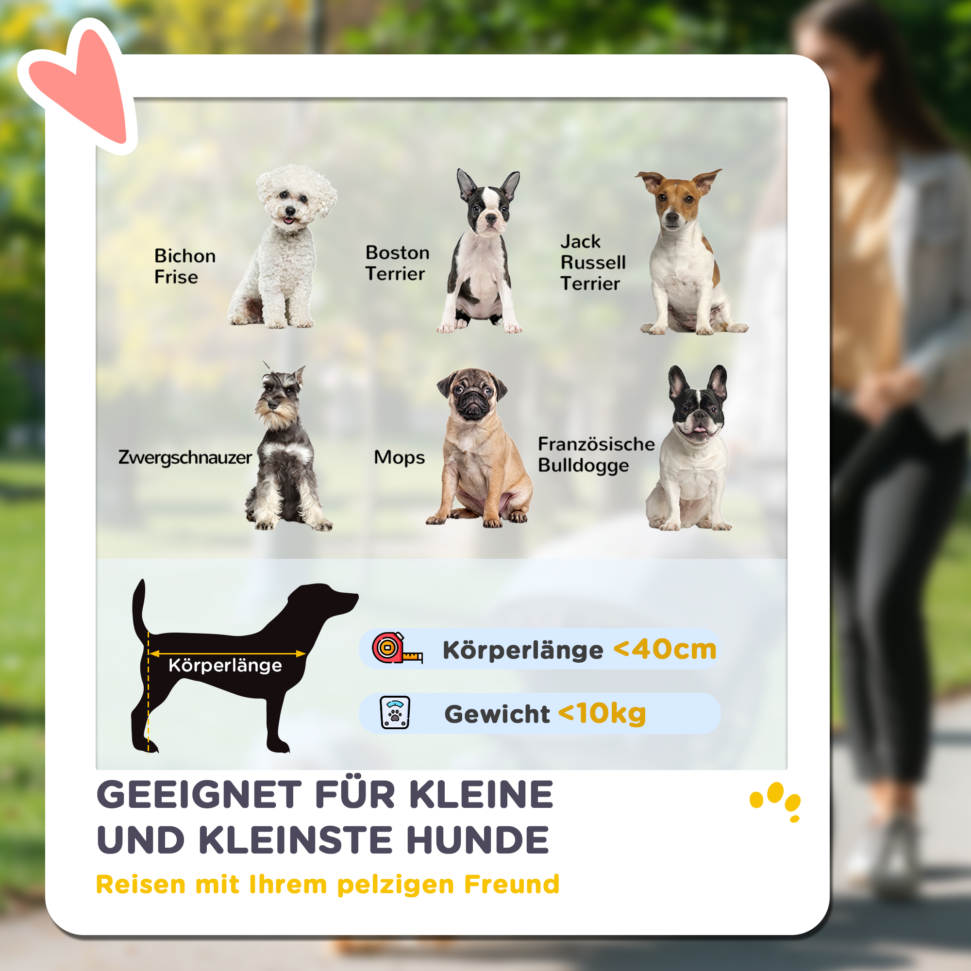 Hundewagen, Leichter und faltbarer Transportwagen für kleine Hunde, waschbares Kissen, Netzfenster, Khaki