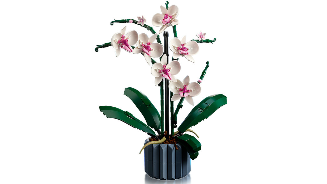 LEGO® 10311 - Icons Orchidee (608 Teile)