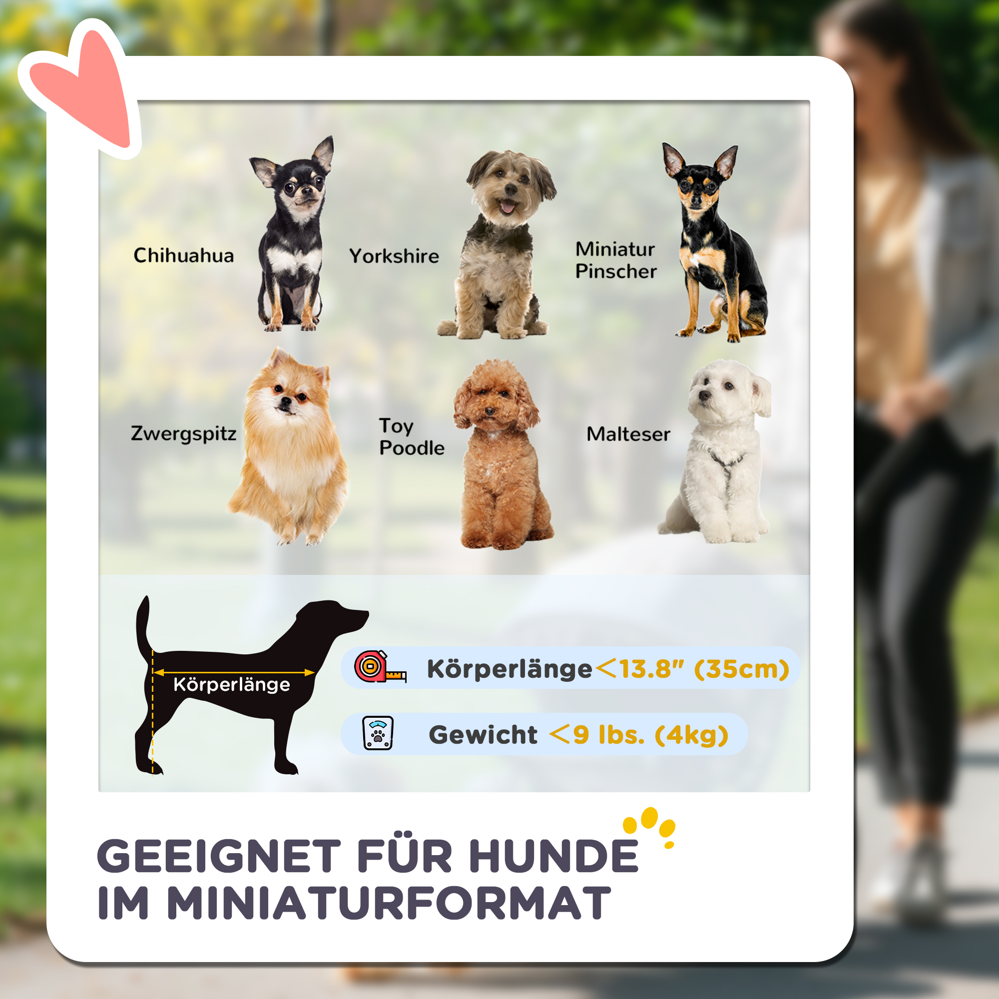 3-in-1-Haustierkinderwagen, zusammenklappbarer Hundewagen mit 4 Rädern und abnehmbarer Trage für Hunde und Katzen, Grau