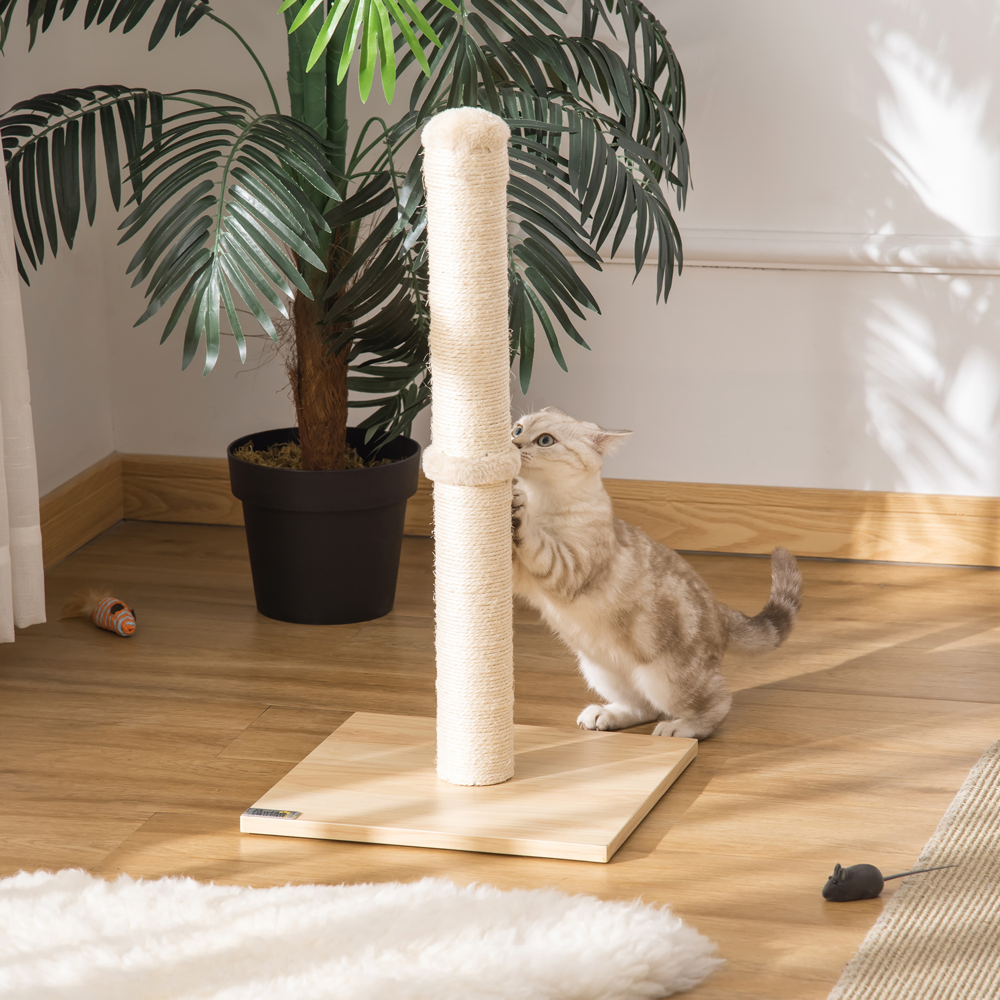Kratzstamm für Katzen Kratzsäule aus Sisal stabiler Kratzbaum Kratz Spielzeug Katze mit Ball 60 cm Spanplatte Sisal Beige+Eiche 34 x 34 x 60 cm