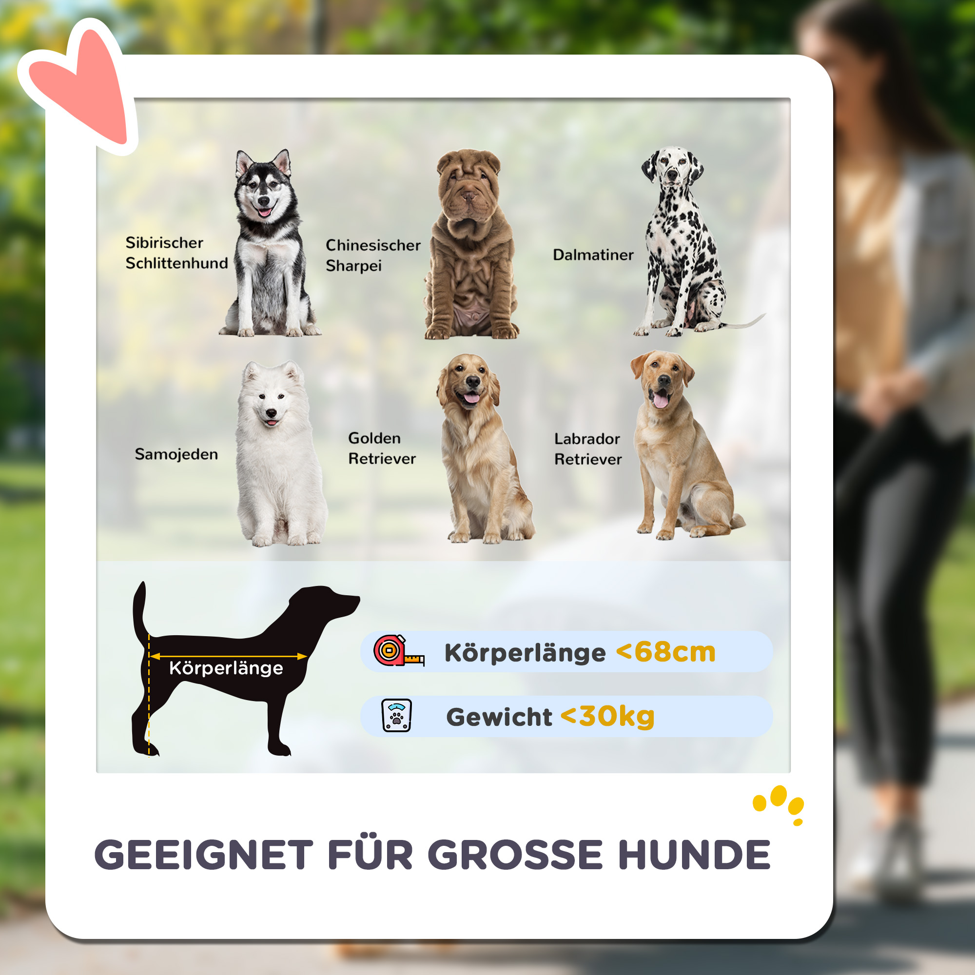 Hundewagen, Faltbarer Hundebuggy für große Hunde, Haustierwagen mit 4 Rädern, Sicherheitsleinen, Bremsen, Dunkelgrau