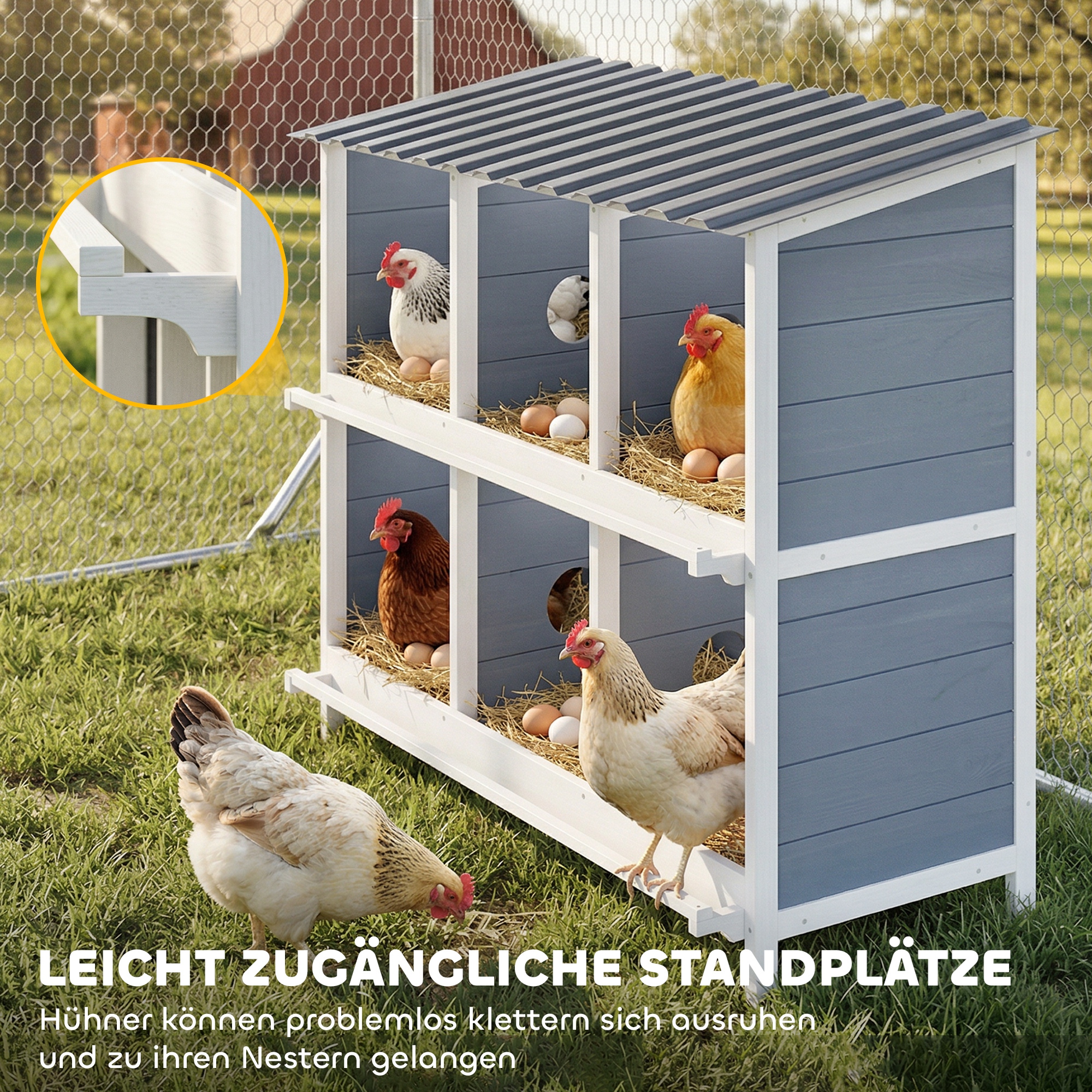 Legenest für Hühner, erhöhtes Hühnernest aus Holz mit 6 Fächer, 2 Sitzstangen für Kleintierstall 102 x 50 x 91 cm, Grau