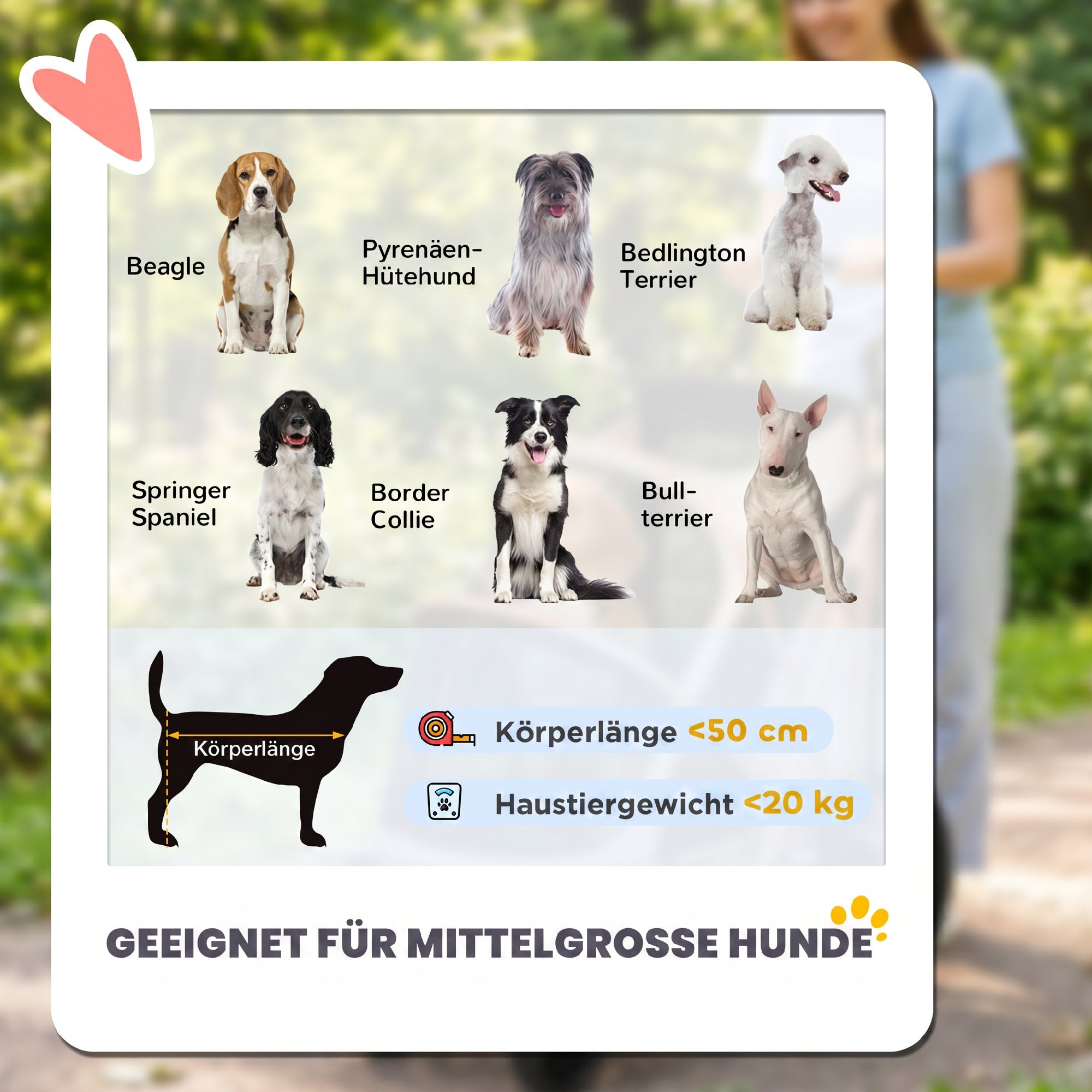 Hundewagen Faltbar Hundebuggy für Hunde bis 20 kg mit 360°Drehrädern Netzfenster Kissen Verstellbarer Griff Hellbraun