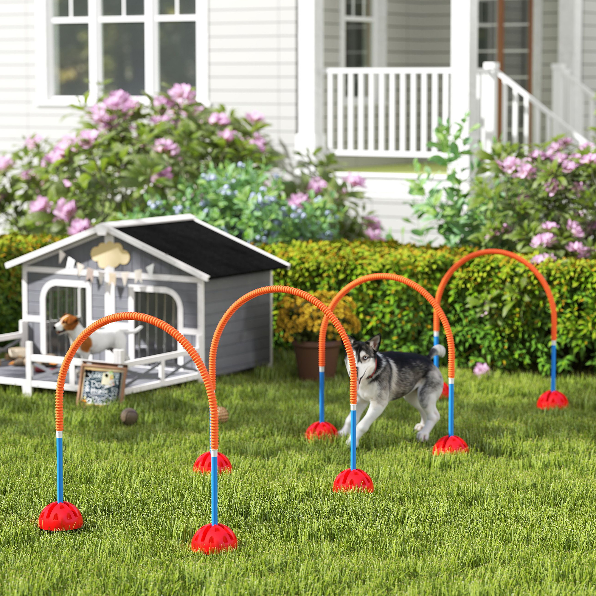 4-teiliges Hunde-Agility-Trainingsgerät mit 4 Türen in verstellbarer Breite, Tragetasche, für Garten, Blau