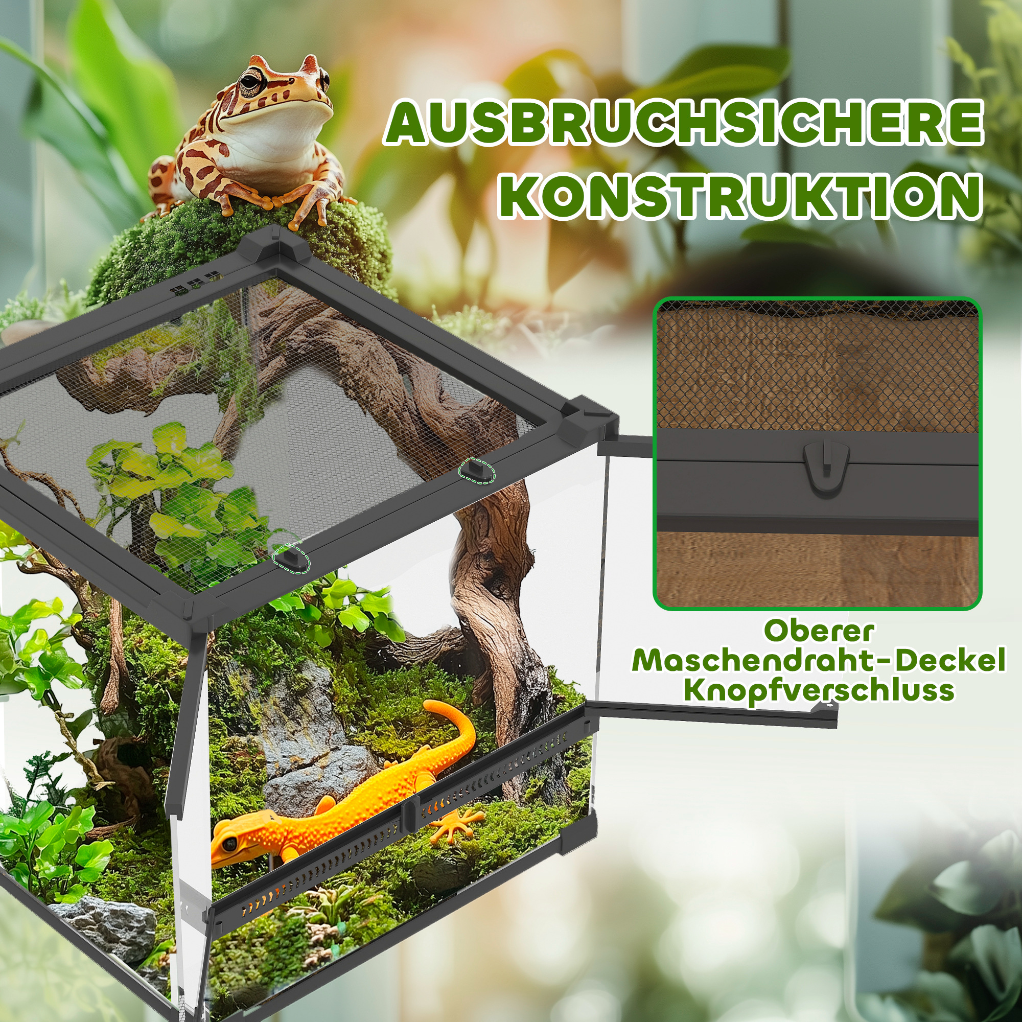 Glas-Terrarium für Reptilien, erhöhter & wasserdichter Boden, Knopfschloss
