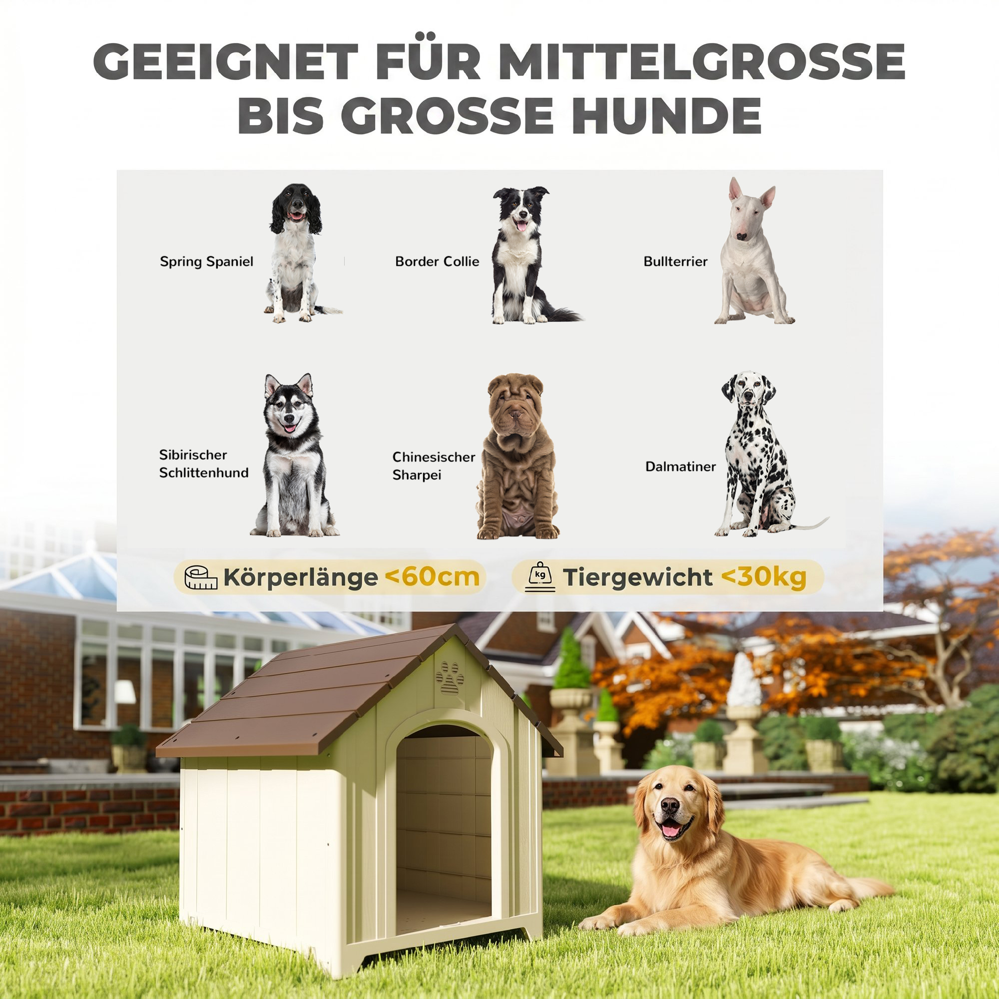 Hundehütte wetterfestes Hundehaus 88 x 79 x 89 cm Erhöhte Hundehöhle mit aufklappbarem Asphaltdach, Bodenankern