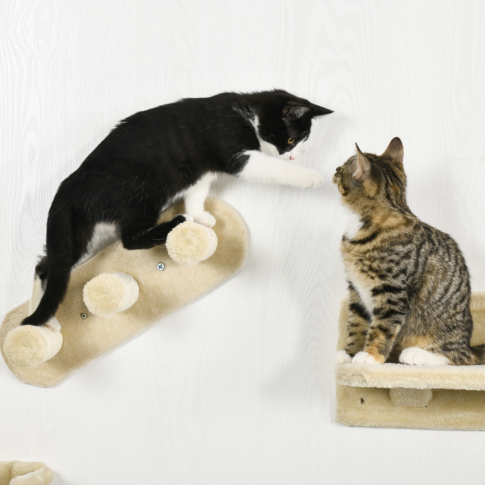 Kletterwand-Set für Katzen, 4-teilig, mit Katzentreppe, Hängematte, Plattform und Kratzbaum, Beige