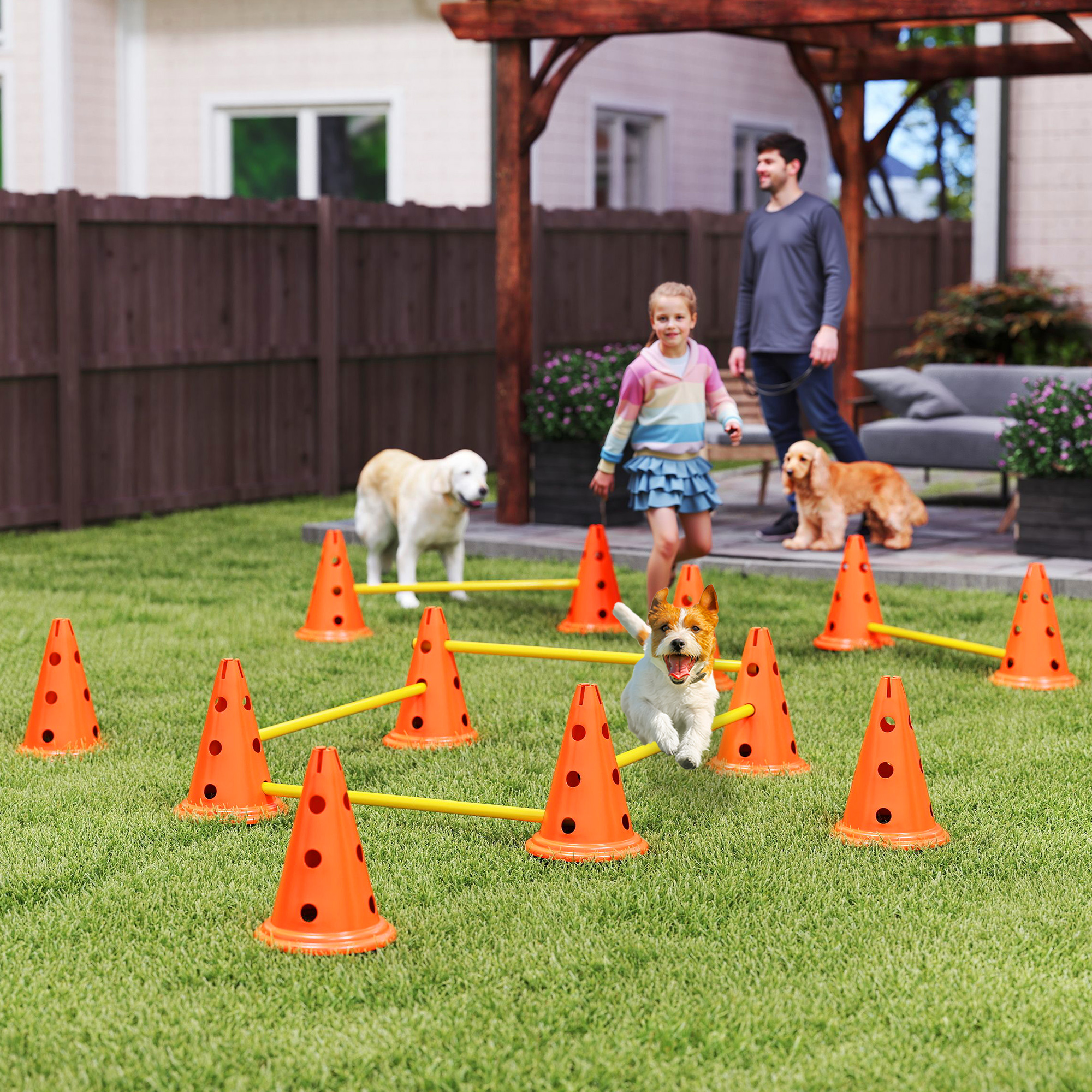Agility Set Hunde 6-teiliges Agility-Ausrüstung für Hundetraining Steckhürdenset mit 12 Kegel 6 Hürden Tragetasche