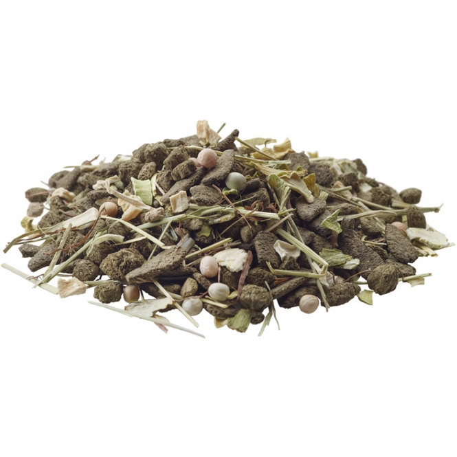 Versele-Laga Nature Degu - 700 g