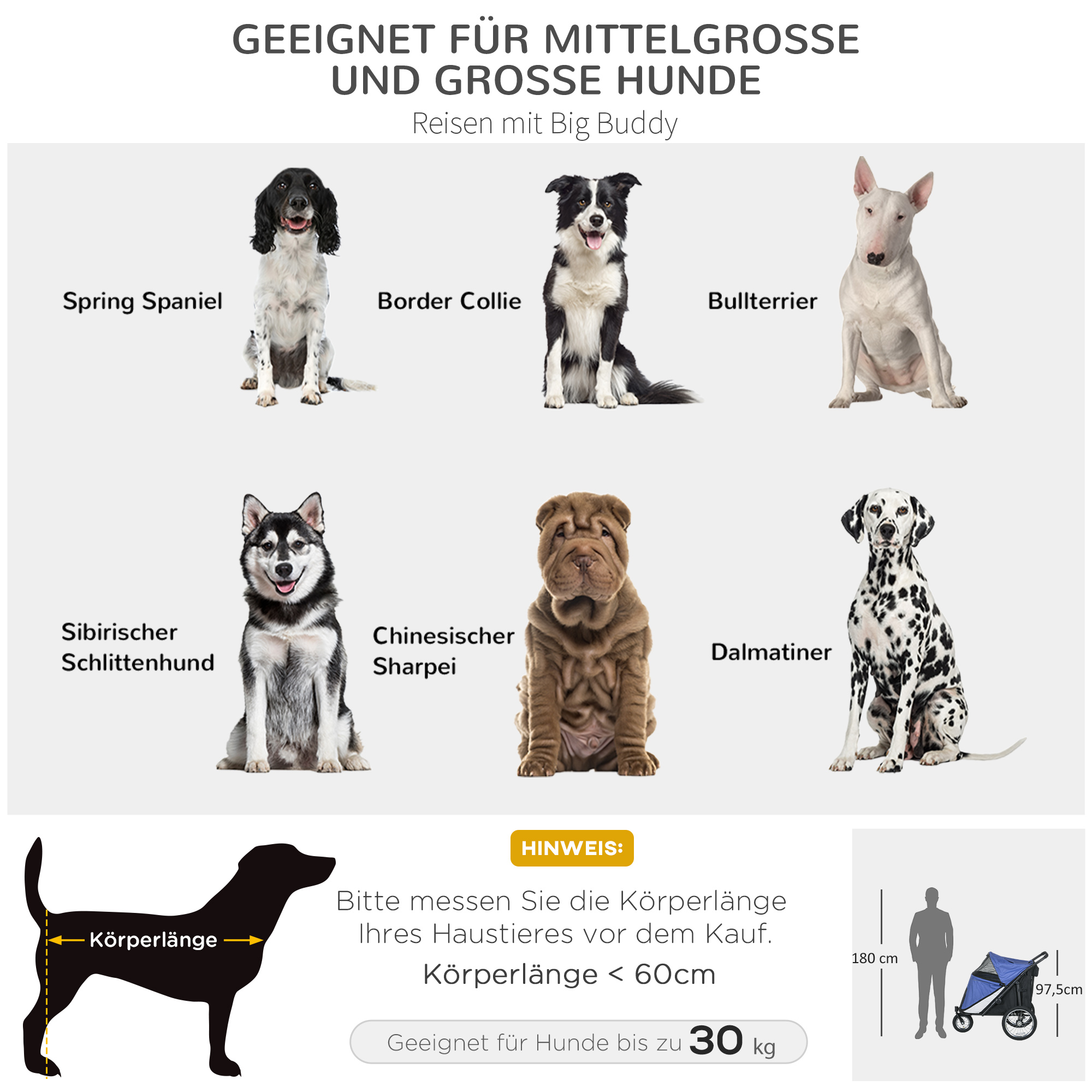 Hundebuggy, faltbar, aufklappbar, Liegekissen, Stahlrahmen, Blau/Schwarz