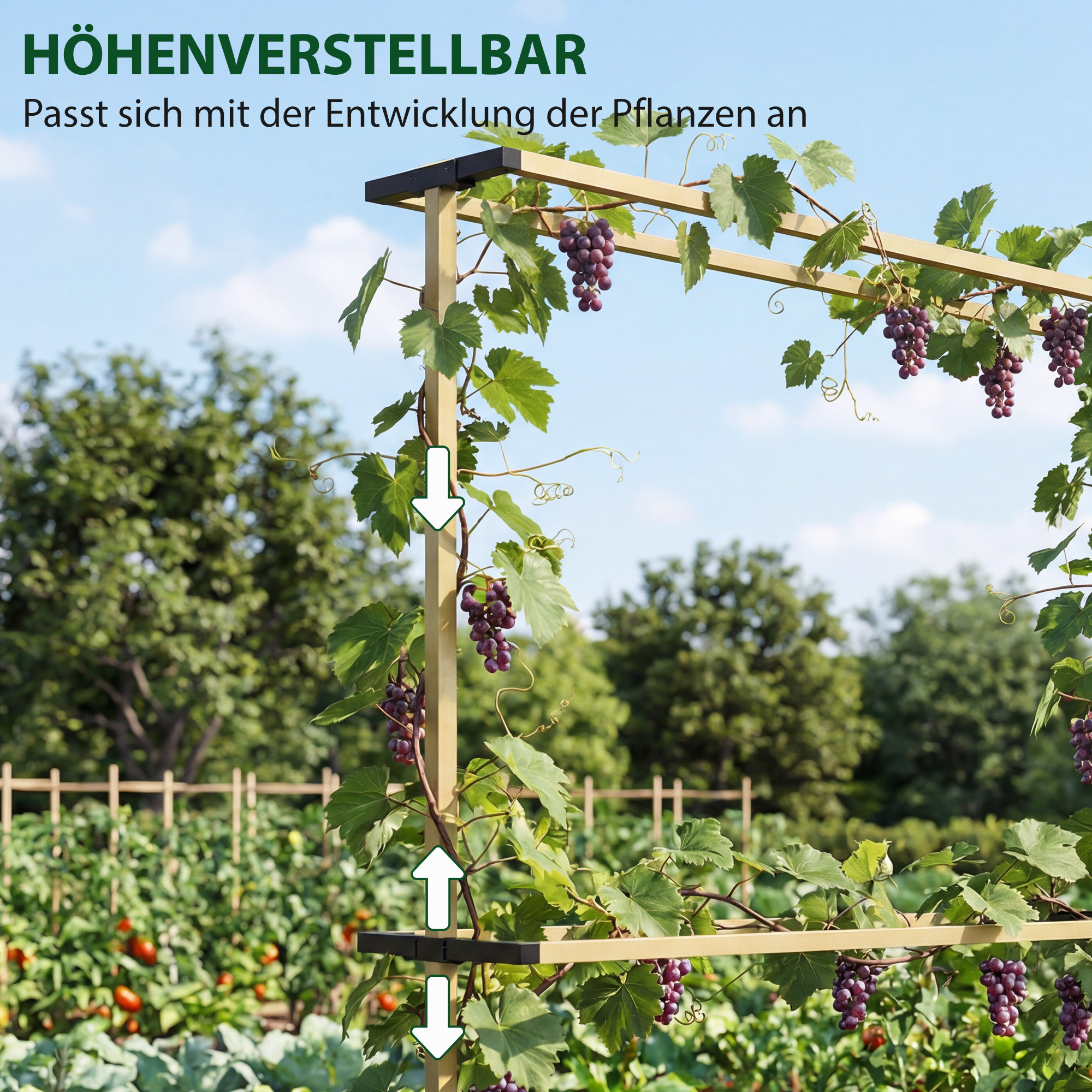 Flexibles Metall-Gartenspalier für Beeren: Himbeeren, Brombeeren & Blaubeeren - Erweiterbares Spalier