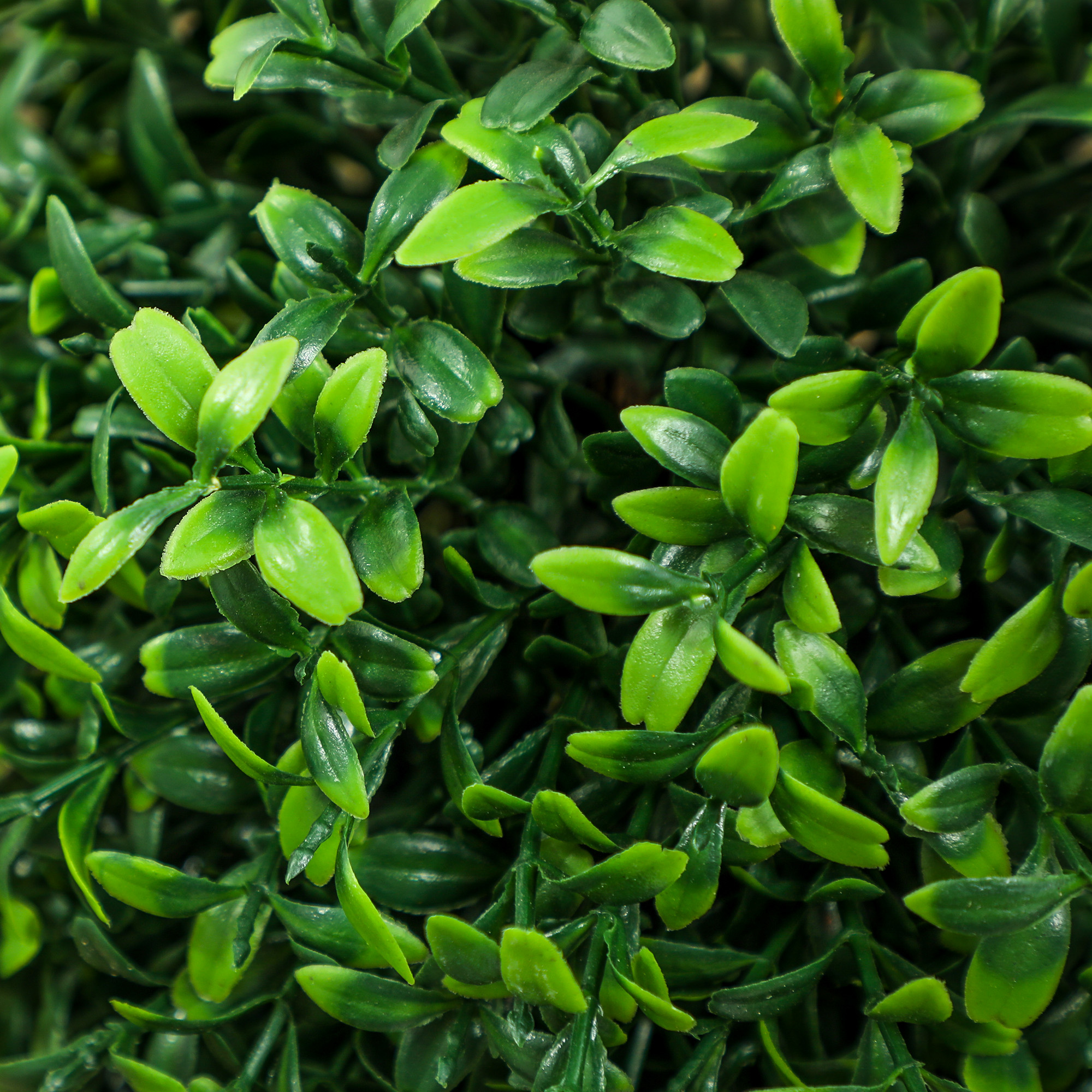 2er-Set Kunstpflanzen, Künstliche Buchsbaum-Pflanzen, UV-geschützt, mit Topf, Grün
