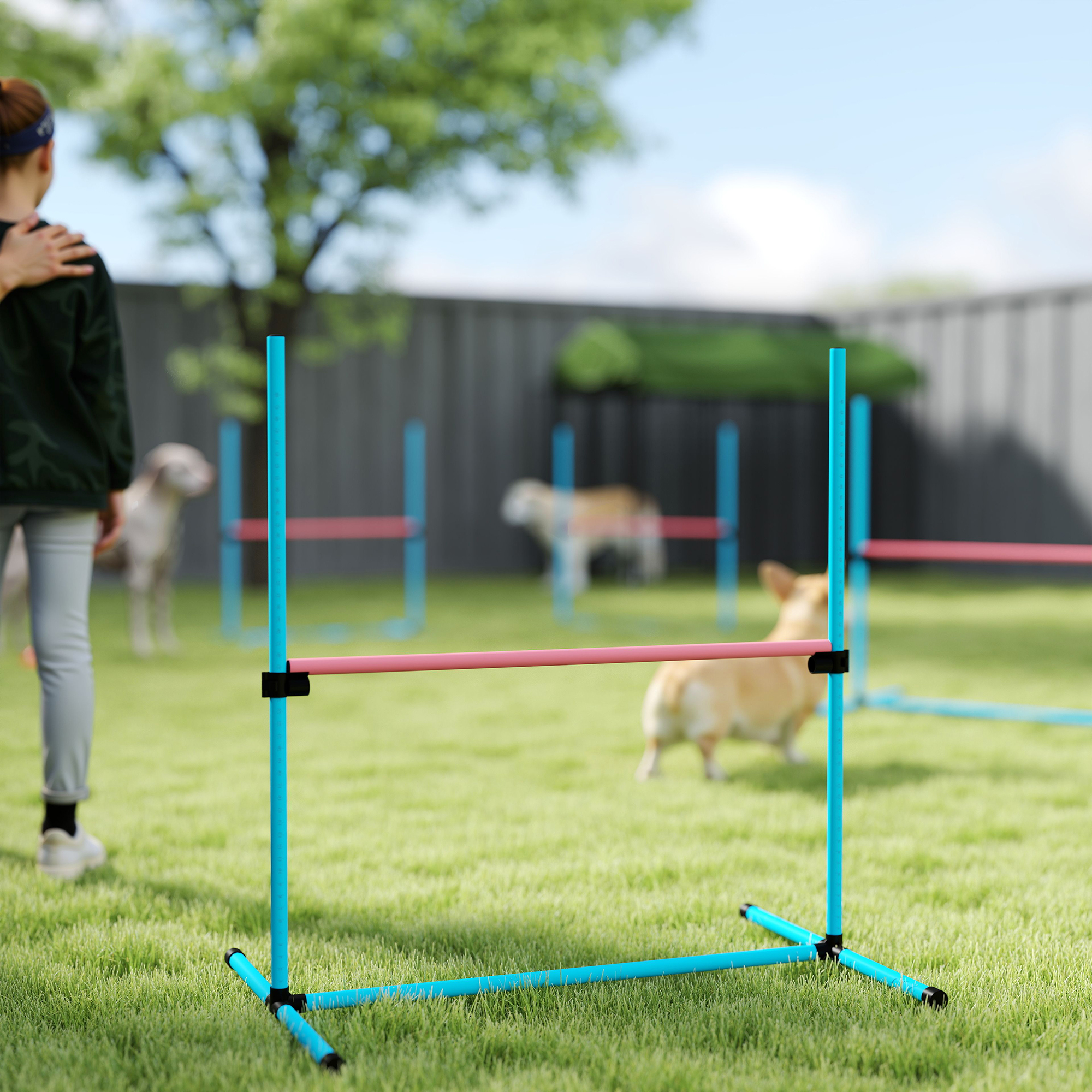Agility Set Hunde 4-teiliges höhenverstellbar Agility-Ausrüstung mit 4 Hürden Tragetasche 99 x 65 x 94 cm Hellblau