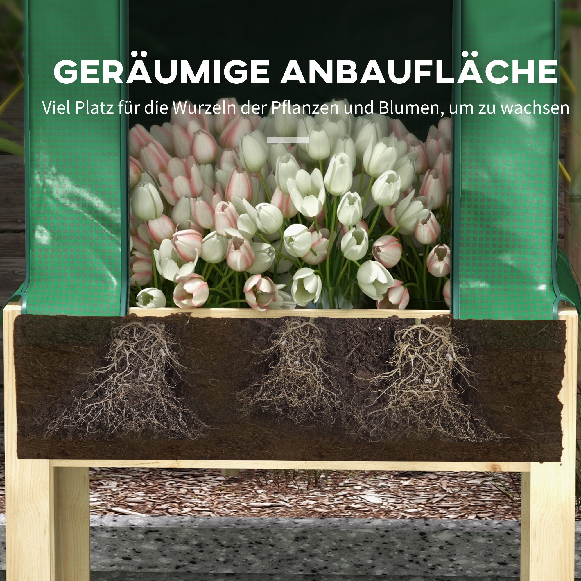 2-in-1 Hochbeet Pflanzenkasten Frühbeet Gewächshaus, 86  cm x 60cm x 165 cm, Natur + Grün