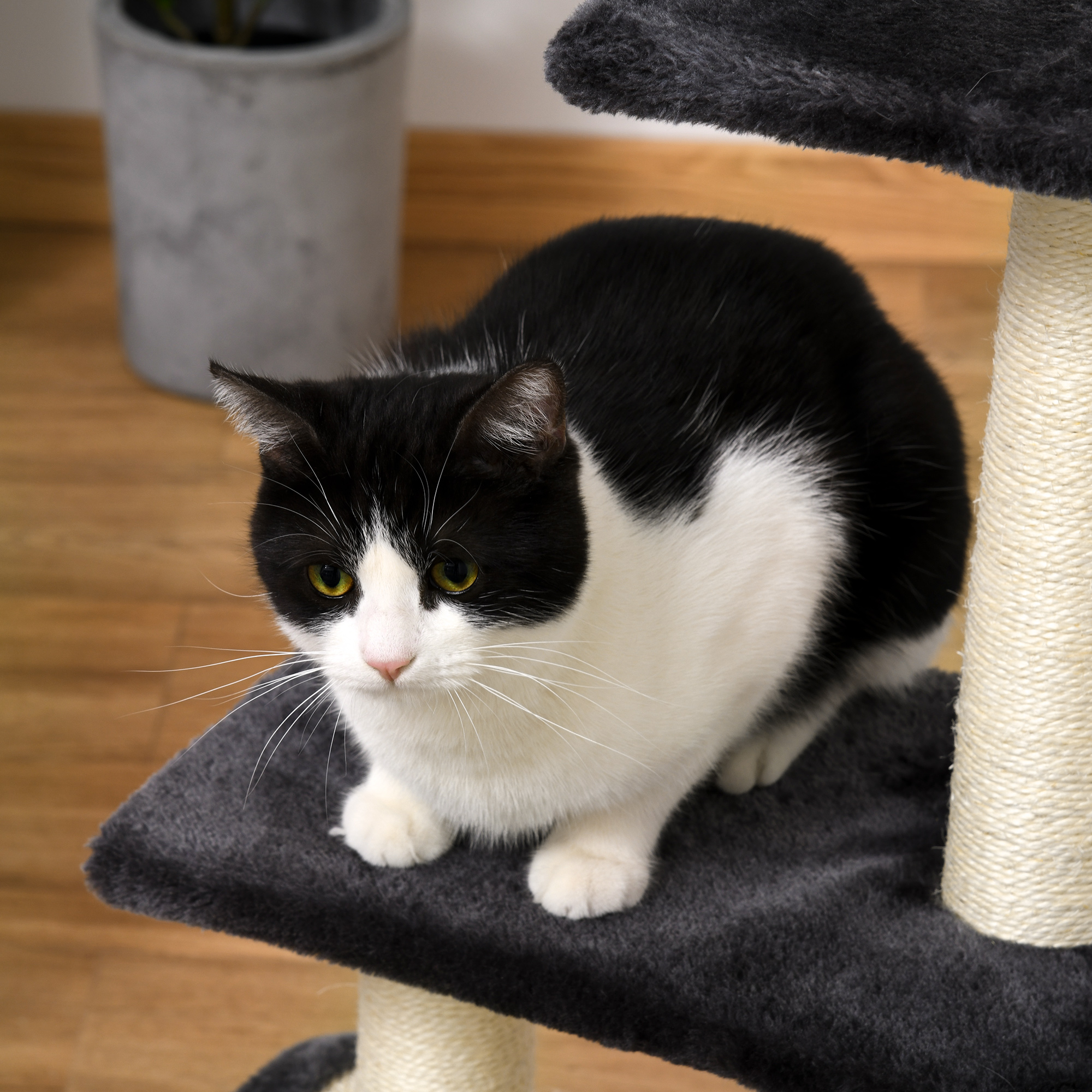 Kratzbaum 72 cm Katzenturm mit Plüschballen, Sisalstämme, Plattform, Kratzbrett mehrstöckiger Katzenkratzbaum, Kletterbaum, für mittelgroße Katzen, Grau