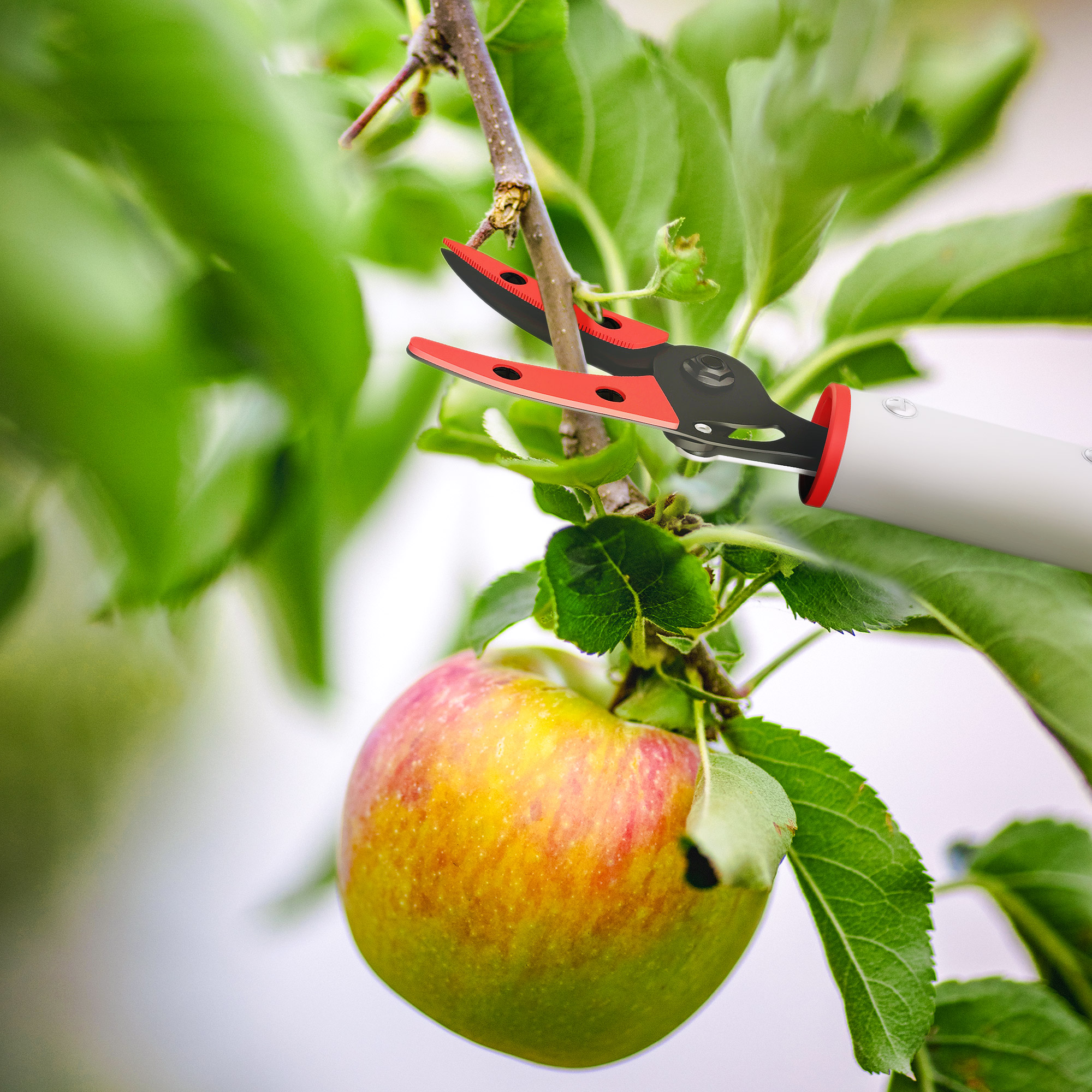 1,2 m Baumschere, Astscheren zum Schneiden, Gartenschneider mit Aluminiumgriff, Langstielige Gartenschere, Rot