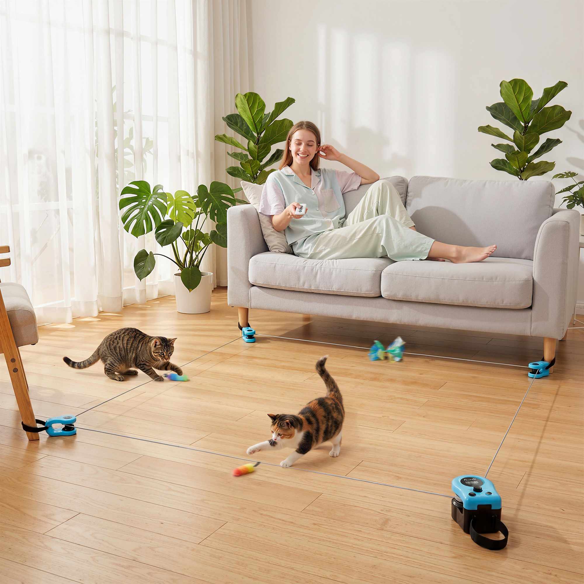 Katzenspielzeug mit einstellbare Geschwindigkeit anpassbaren Laufwegen Schwarz