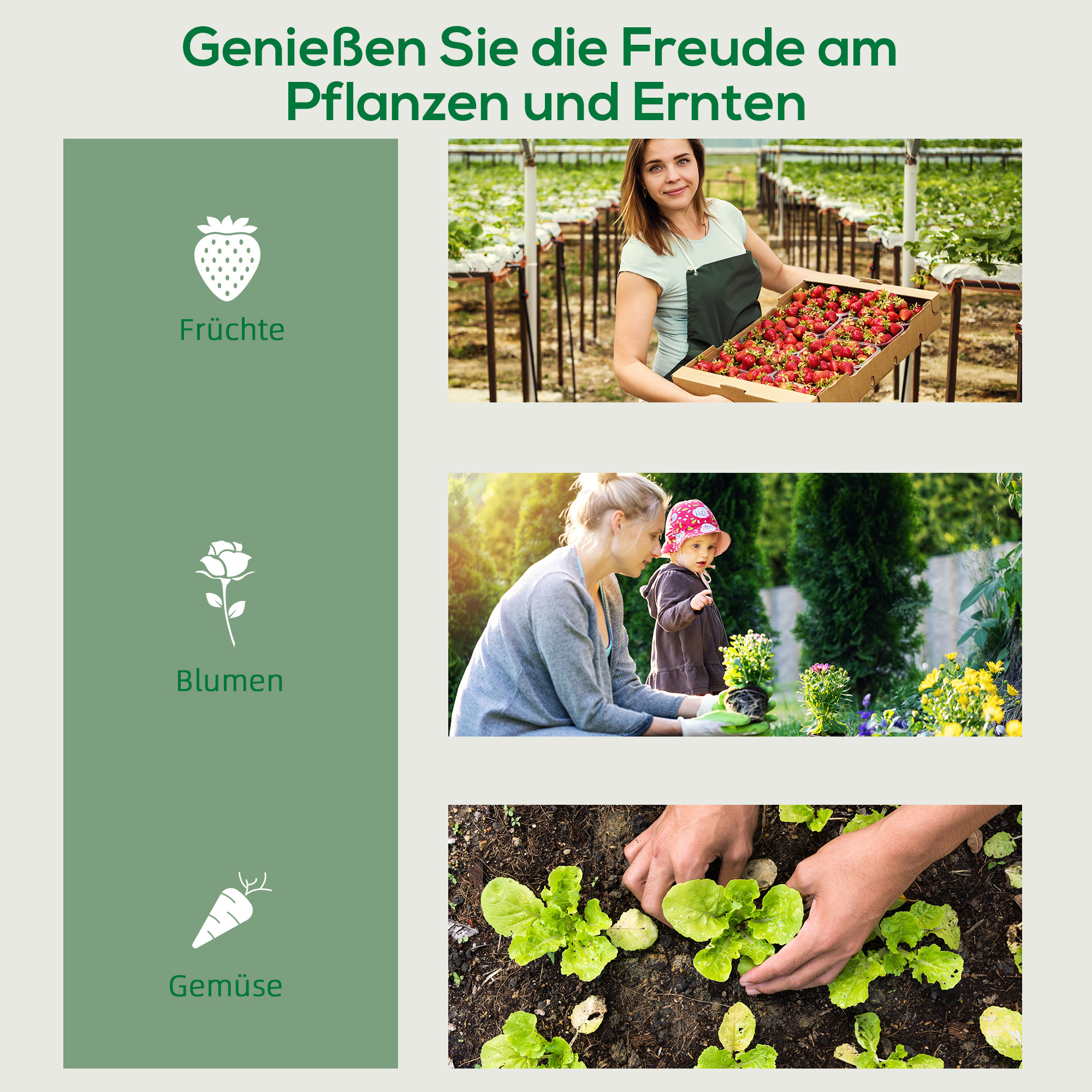 Folien-Gewächshaus, Treibhaus, Mini-Gewächshaus, Pflanzenhaus, Frühbeet, 4 Regalfächer, 69 x 50 x 165 cm, Transparent