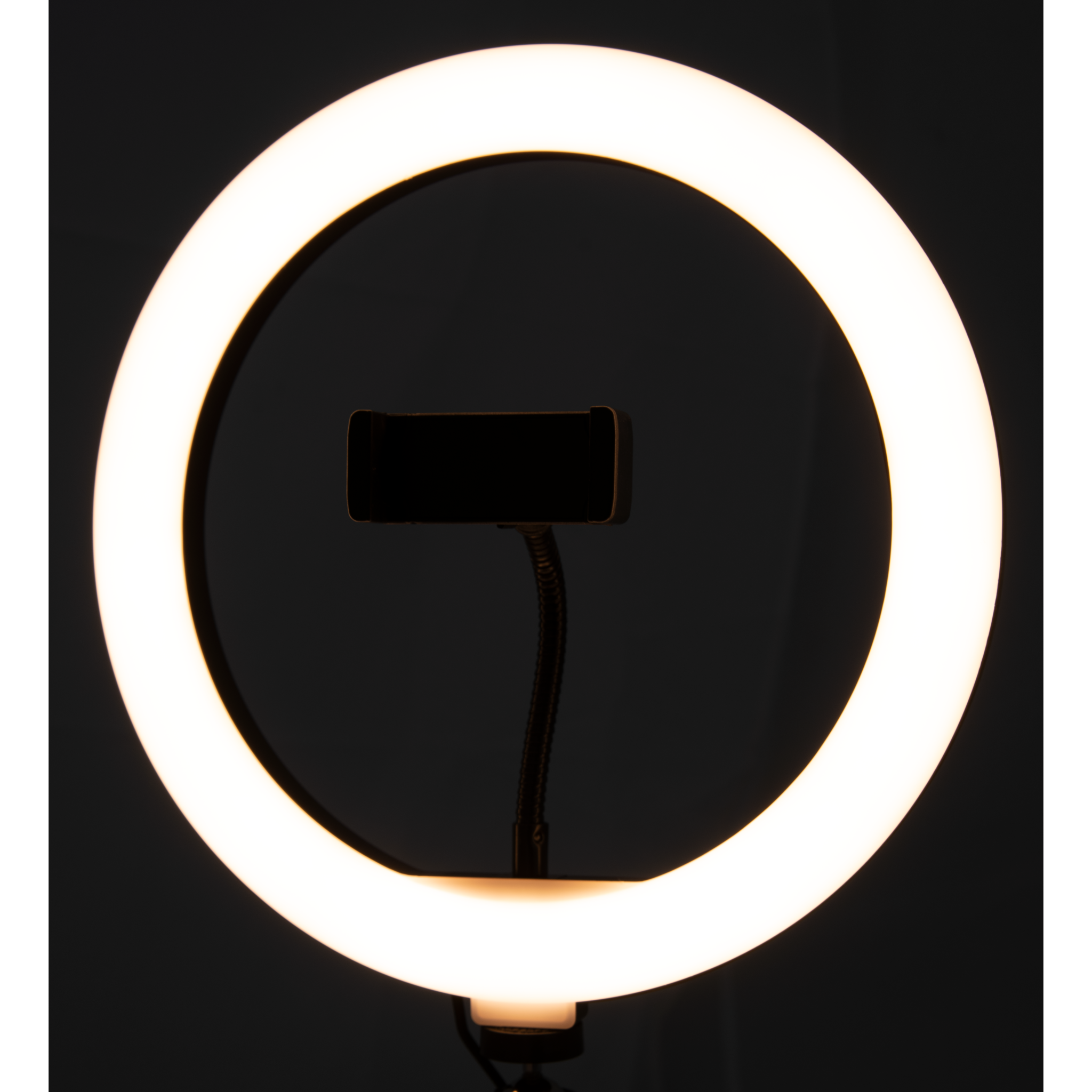 LED Ringleuchte für Smartphone,  Ø20 cm, 3 Lichtfarben,