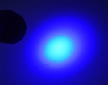 LED-Taschenlampe mit 51 UV LEDs / Schwarzlicht, ØxL 55x145mm