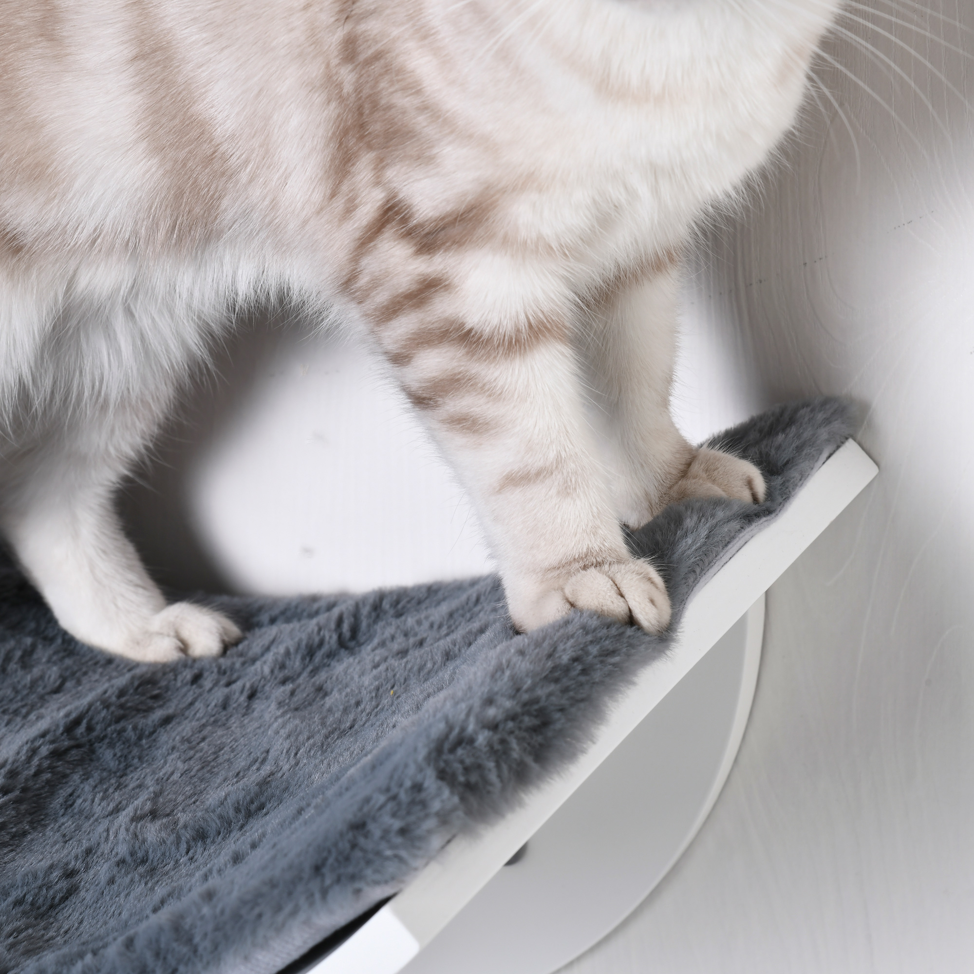 Katzenliege Katzen Wandliege Katzenbett Katzenregal Wandmontage Plüschauflage Grau 41 x 28 x 21 cm