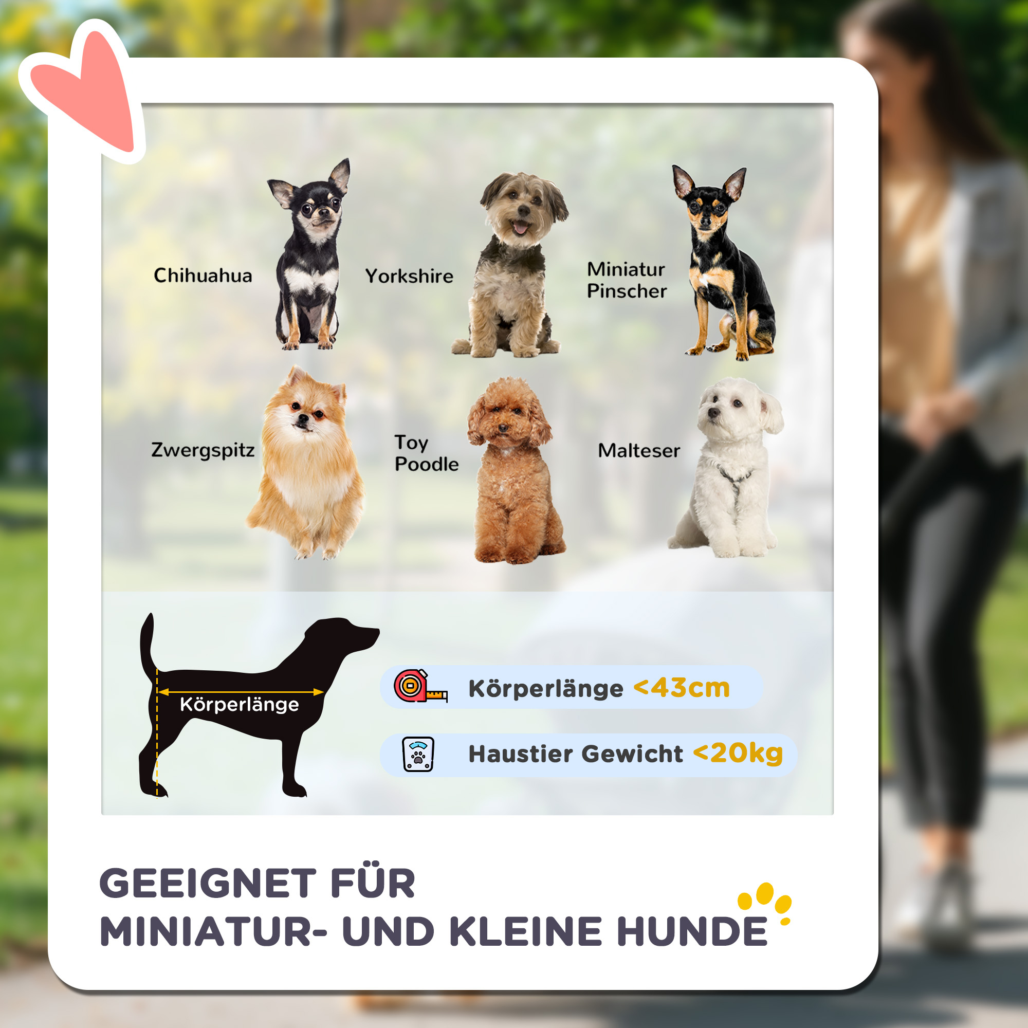 Hundewagen Hundetrolley mit Jogger-Funktion bis 20 kg Klappbar Netzfenster, Ablagekorb, Grau, 111 x 58 x 107 cm