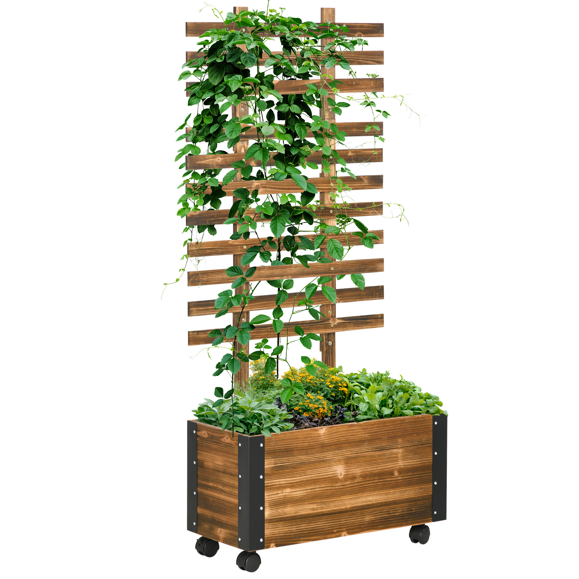 Hochbeet mit Rankhilfe, 4 Rollen, behandeltes Massivholz, 65 cm x 31 cm x 147 cm, Schwarz + Braun