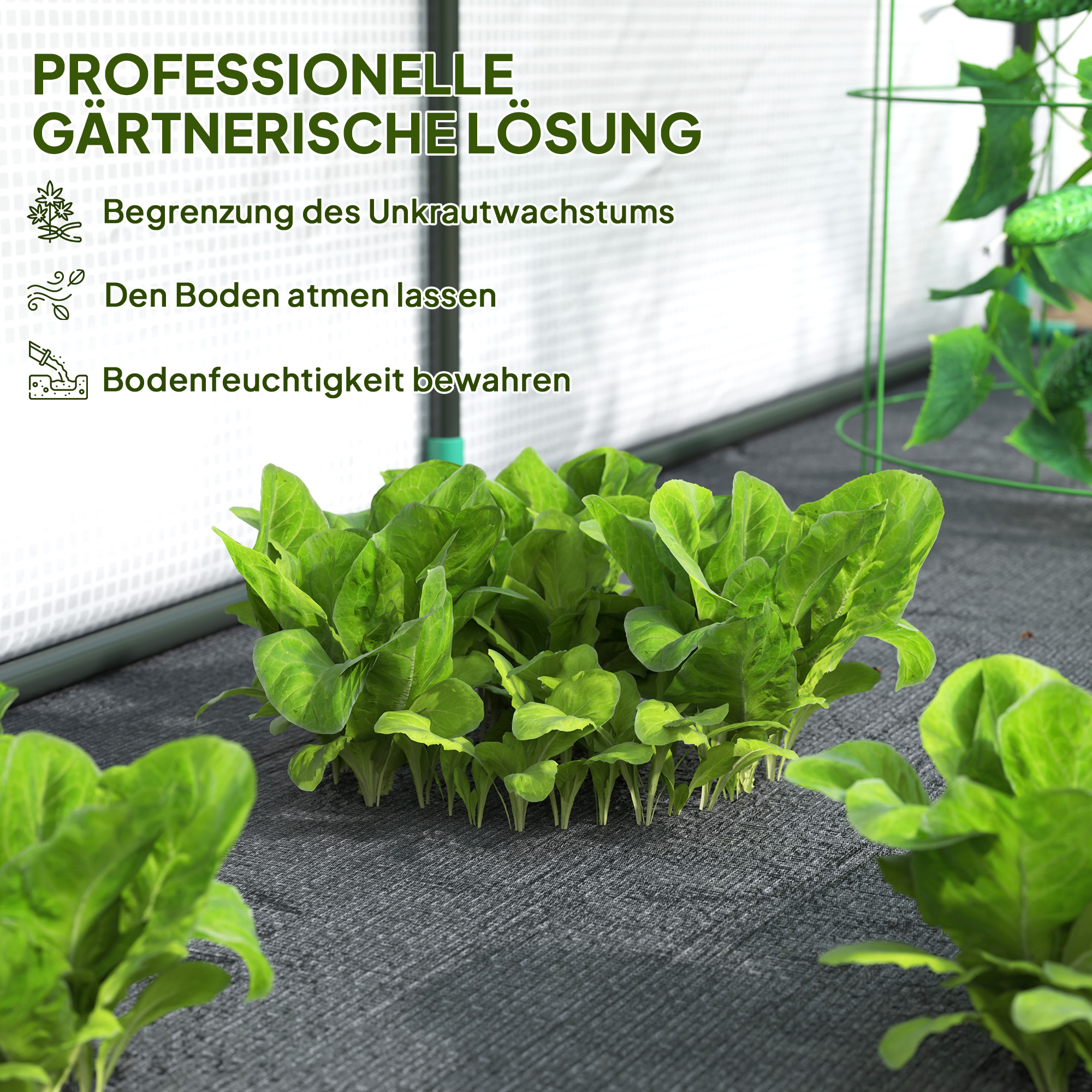 Wandmontiertes Gewächshaus, Zugängliches Pflanzenhaus, Kunststoff-Plane, 300 x 80 x 157 cm, Weiß