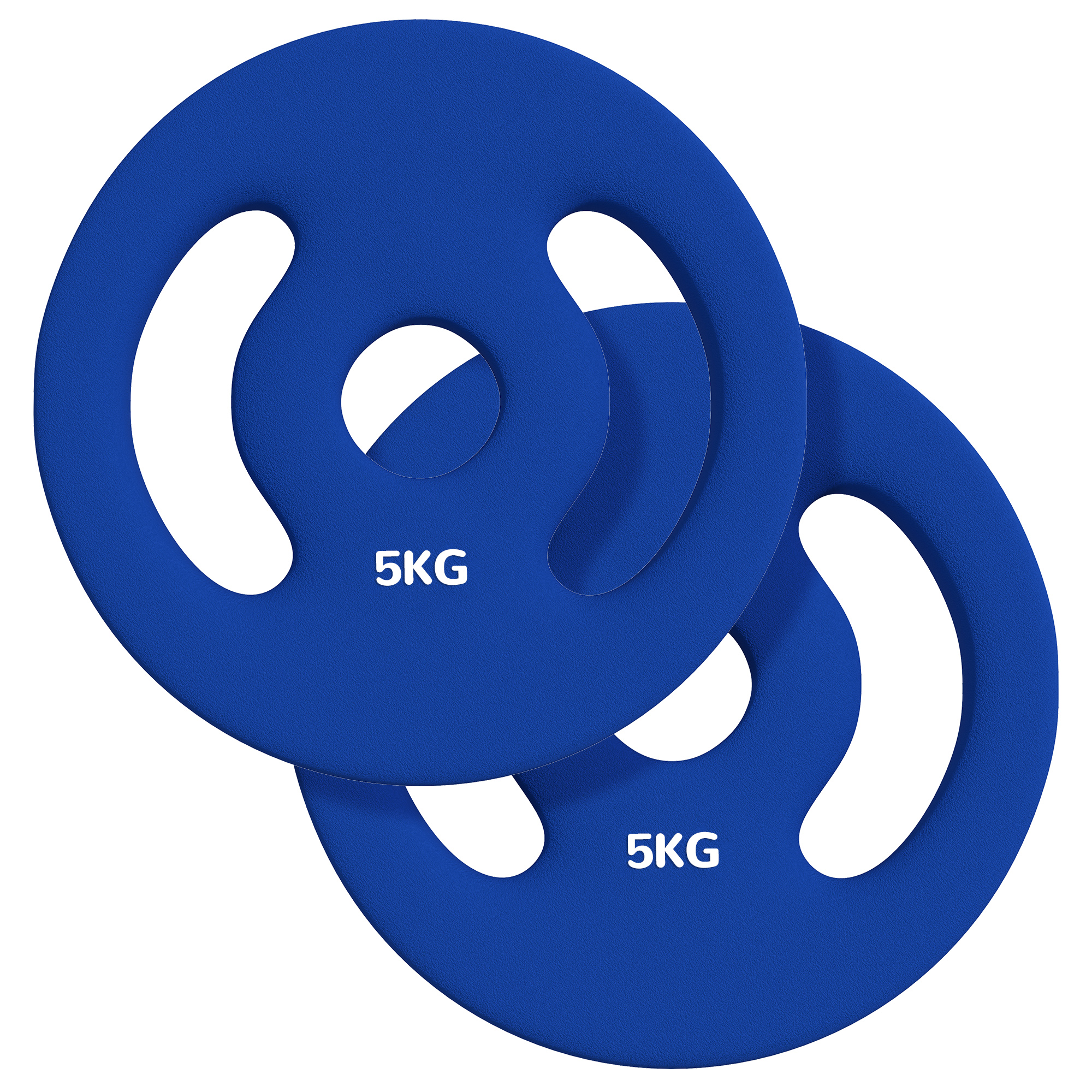 2 x 5 kg Gewichtsplatten mit praktischen Handgriffen, Gewichts-Set für Home-Gym, Fitnessstudio, Stärke-Training, Blau