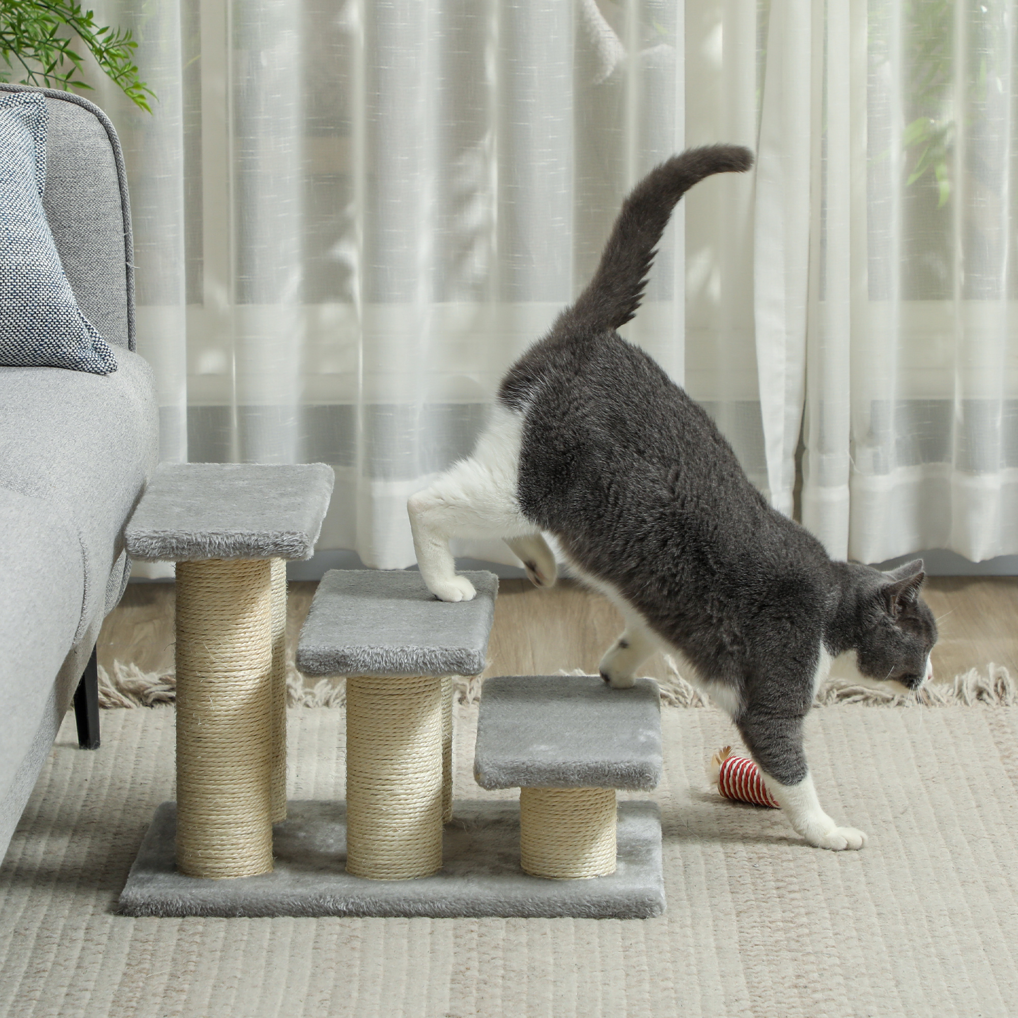 Hundetreppe 3 Stufen 34 cm Hoch Haustiertreppe für Katze Hunde Katzentreppe Einstiegshilfe für Bett, Sofa, Couch Grau