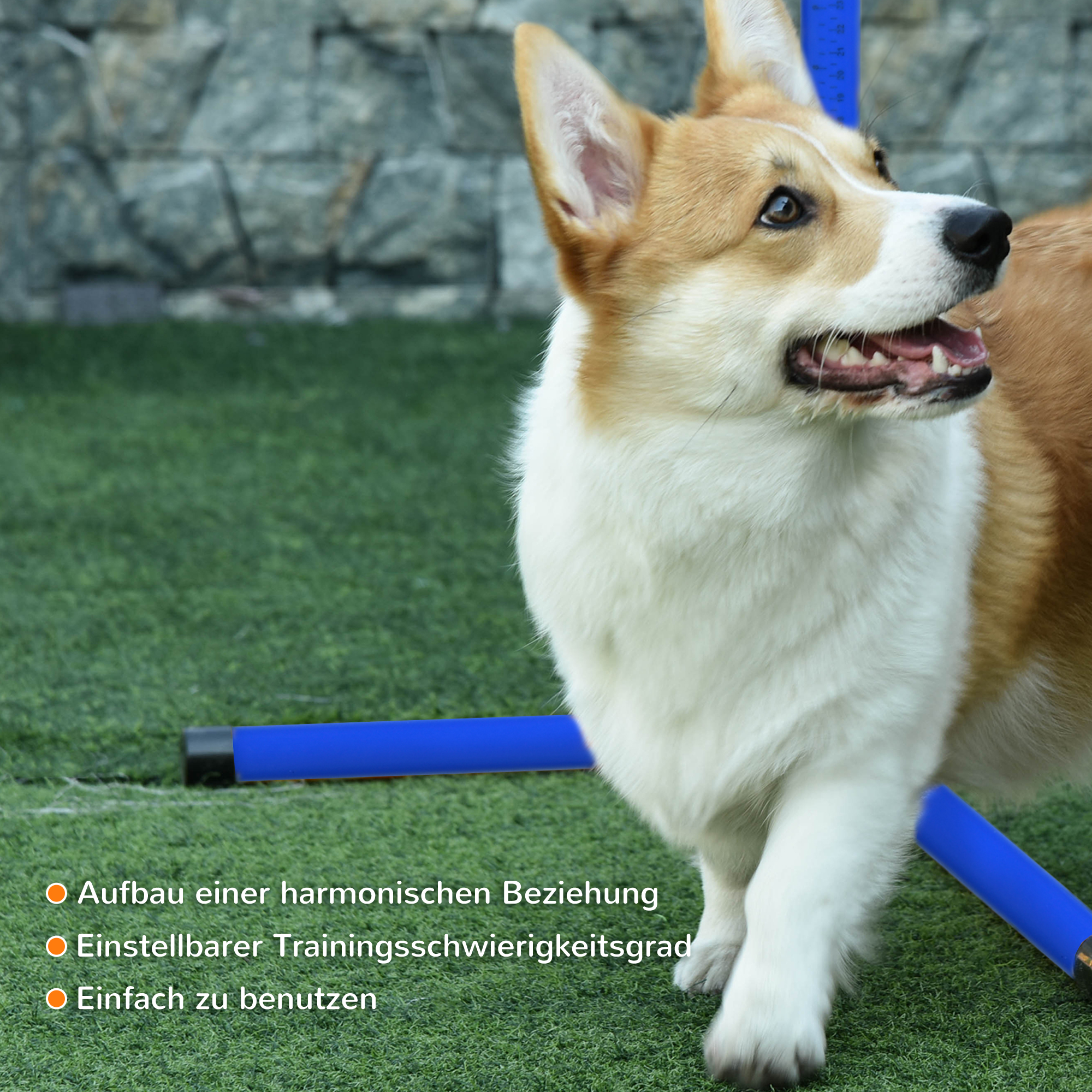 Agility Set Hunde 4-teiliges höhenverstellbar Agility-Ausrüstung Sprungstangen-Set Steckhürdenset mit 4 Hürden Tragetasche Koordinationstraining Sprungstangen-Set für Spiele Training