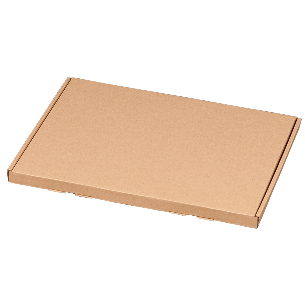 Großbriefkarton, A4, 345x245x17mm, braun, VPE100 Großbriefkarton, A5, 215x155x15mm, braun VPE100