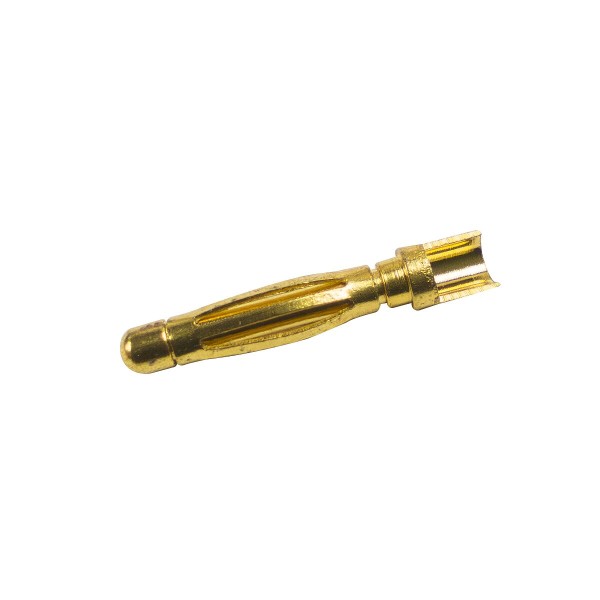 Goldkontakt 2mm Stecker