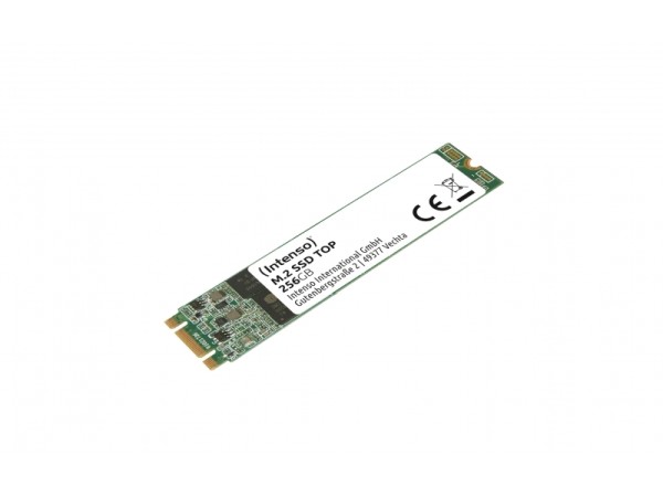 Intenso SSD 256GB TOP M.2 2280 SATA3 intern 3832440